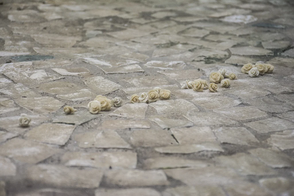 Nunca lhe prometi jardim algum - Imagem 1