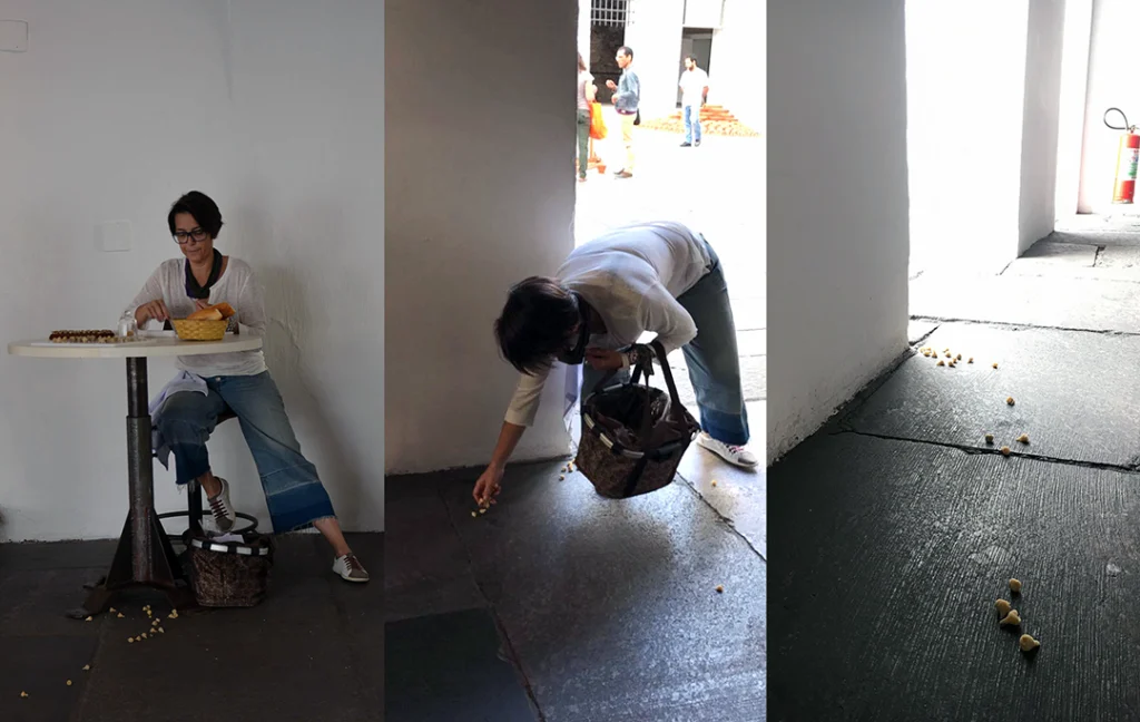 Nunca lhe prometi jardim algum - Imagem 2