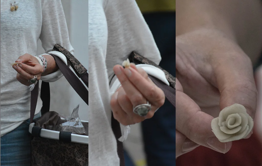 Nunca lhe prometi jardim algum - Imagem 3