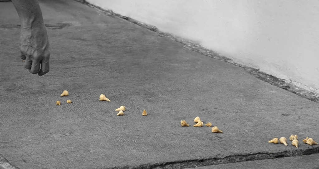 Nunca lhe prometi jardim algum