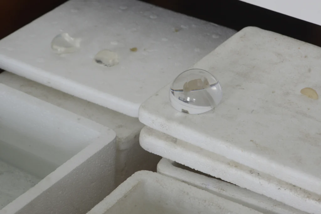 Estação de Escuta e Espreita - Imagem 16