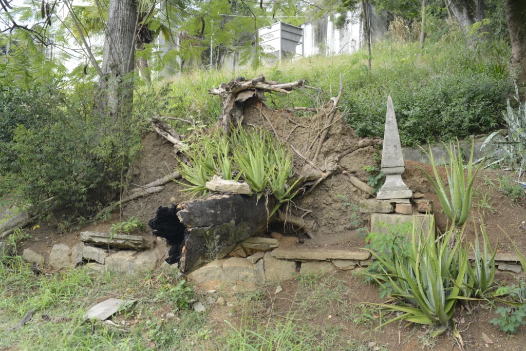Estação de Escuta e Espreita - Imagem 34