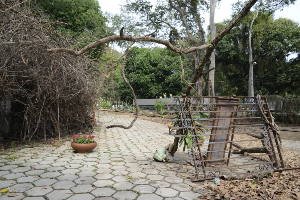 Estação de Escuta e Espreita - Imagem 33