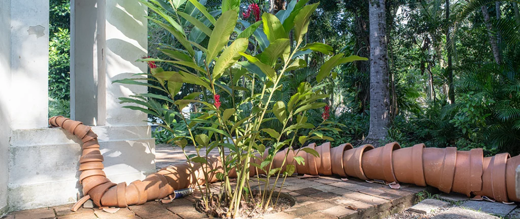 Vasa - Galeria Auxiliar 5