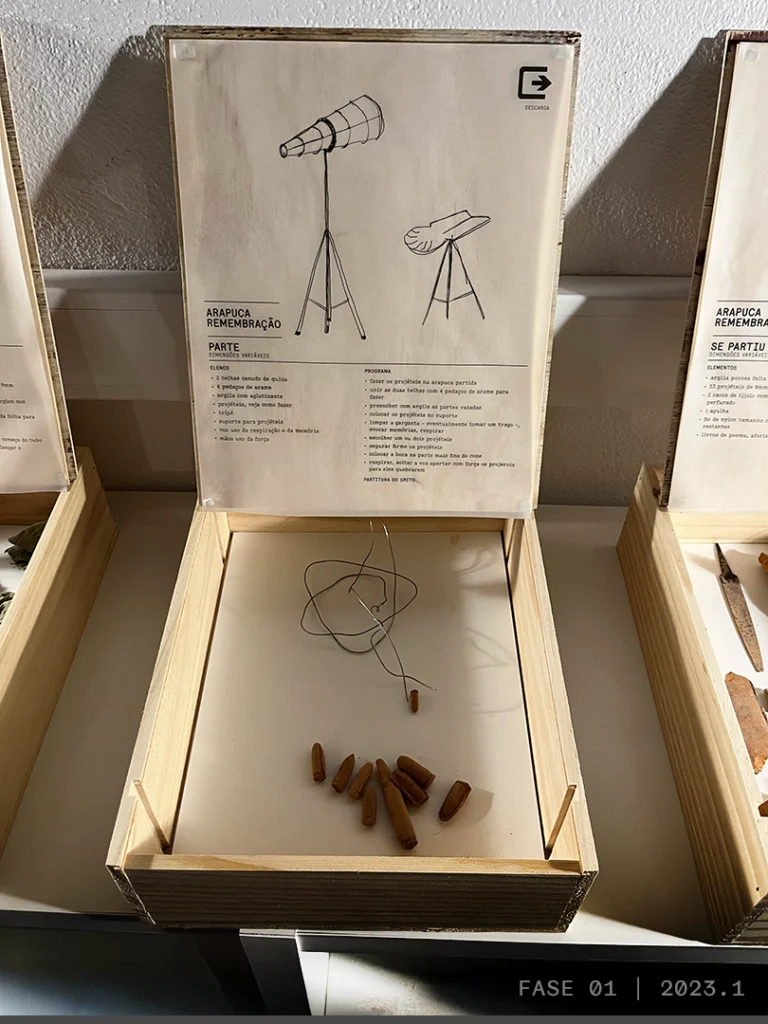 Que(m) sabe de que(m) sou feita - Imagem 6