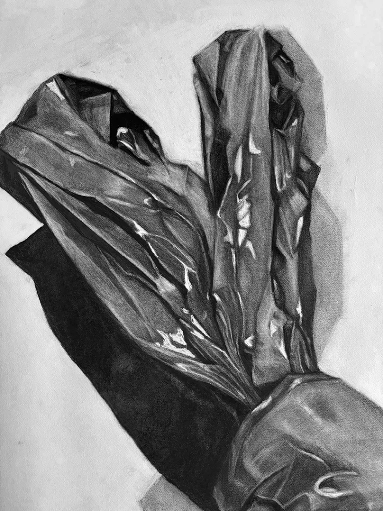 Candida, a lebre - Imagem 1