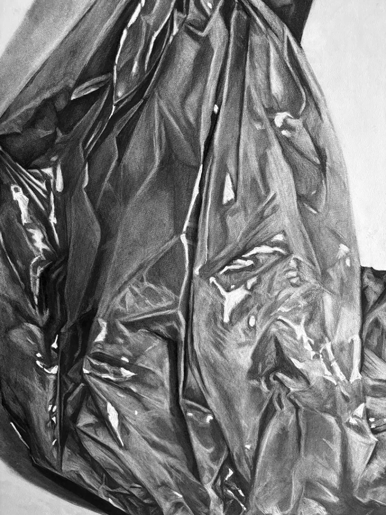 Candida, a lebre - Imagem 3