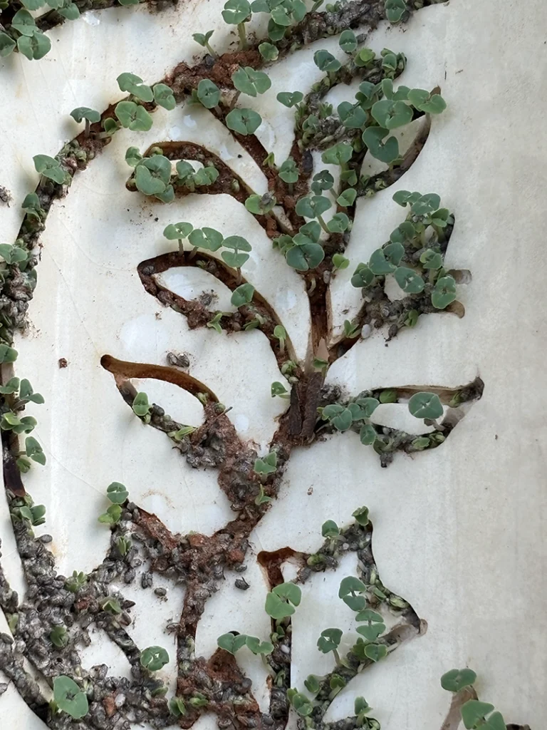 Ainda somos seis - Imagem 3