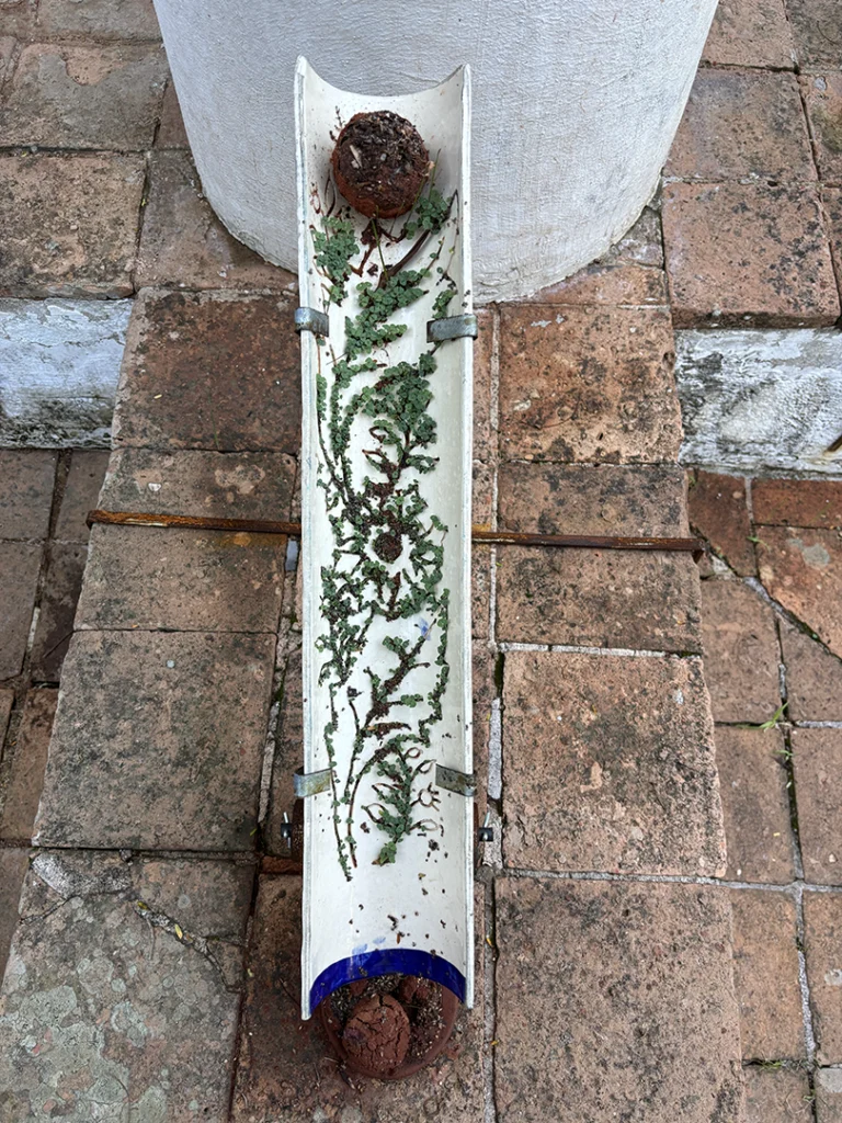 Ainda somos seis - Imagem 1