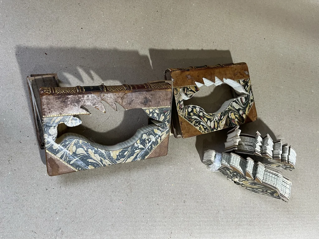 Pássaros Lacunares - Imagem 4