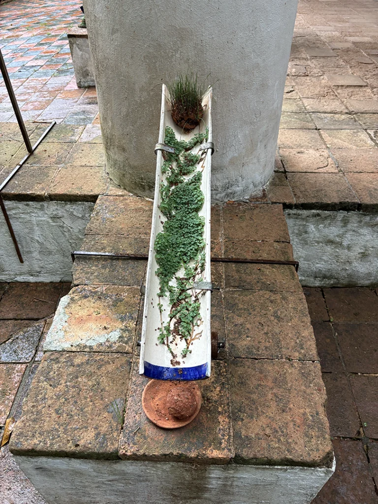 Ainda somos seis - Imagem 5