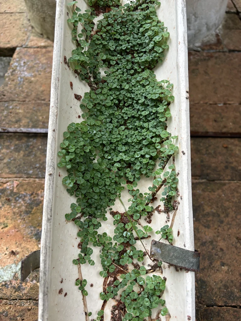 Ainda somos seis - Imagem 9