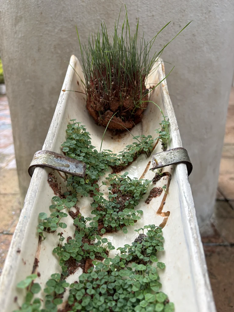 Ainda somos seis - Imagem 10