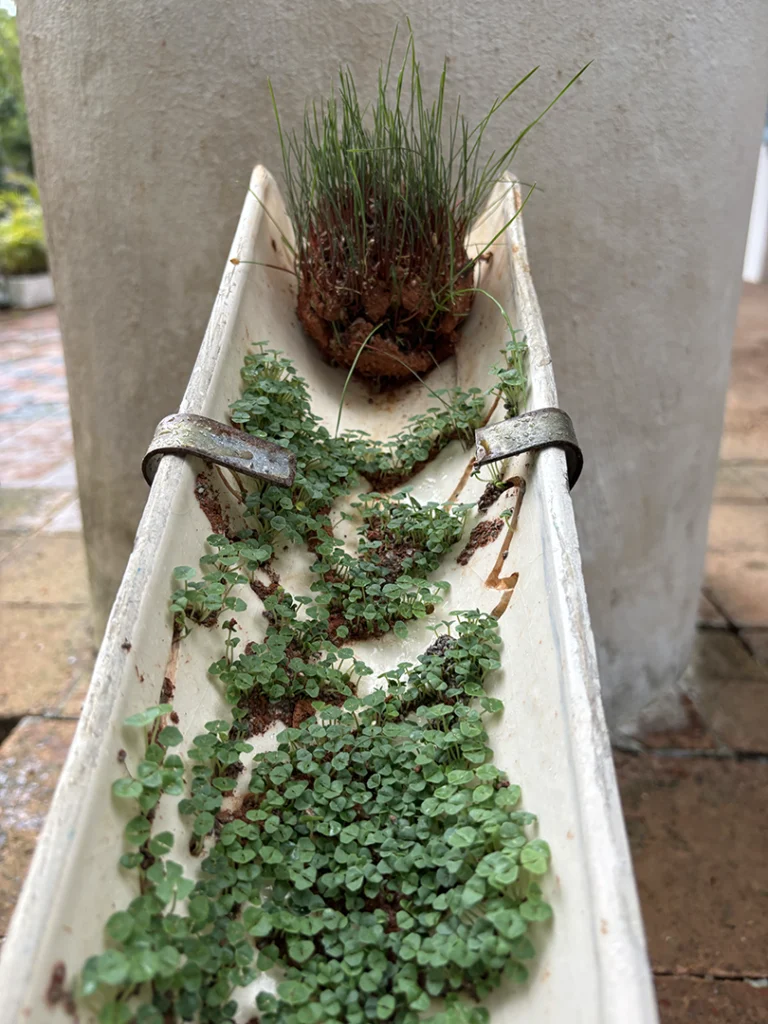 Ainda somos seis - Imagem 11