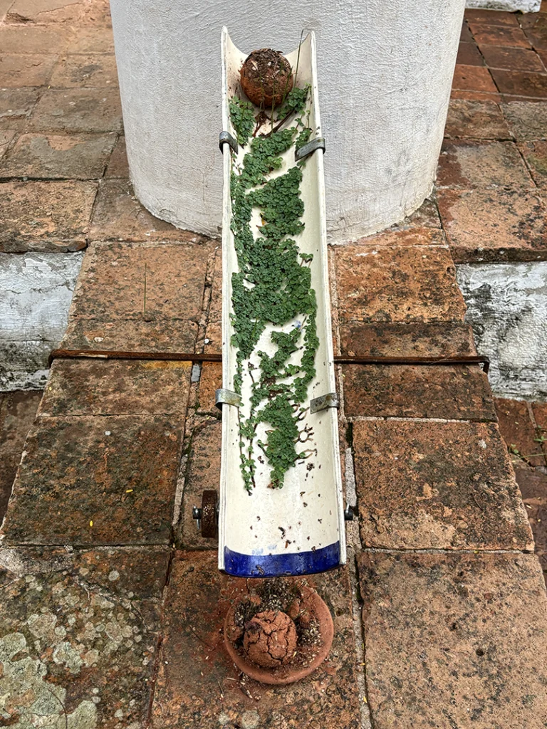 Ainda somos seis - Imagem 8