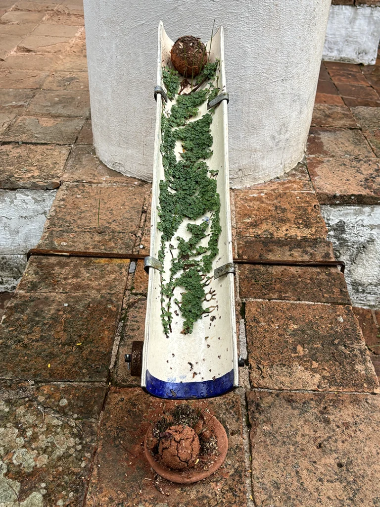 Ainda somos seis - Imagem 7