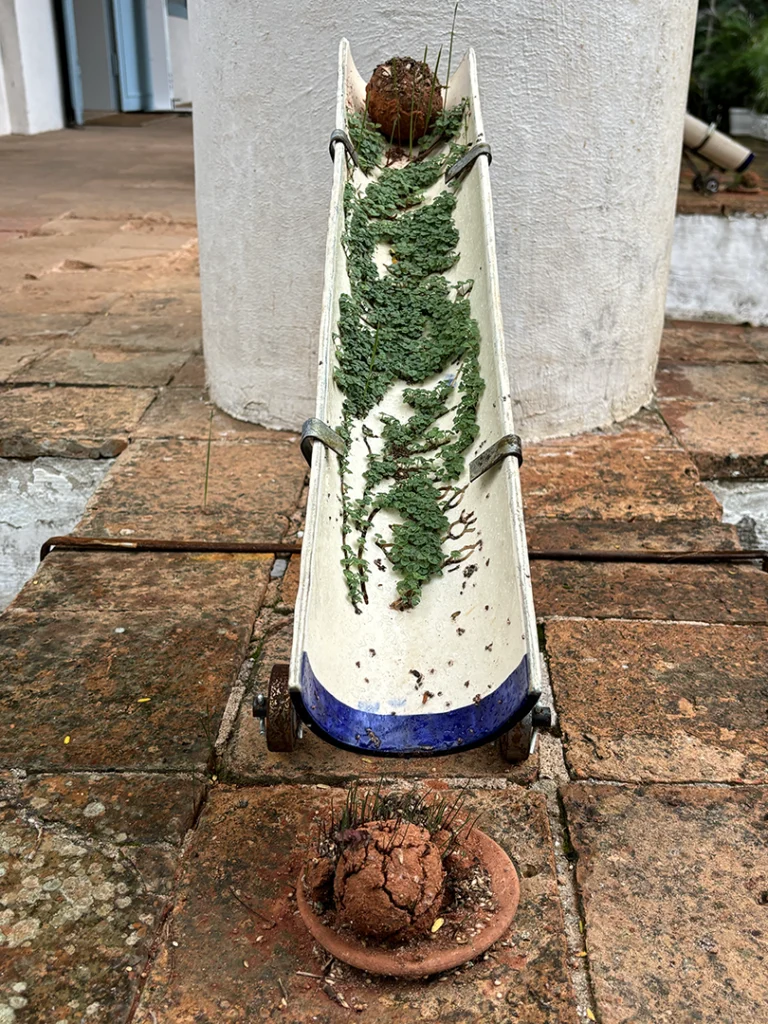 Ainda somos seis - Imagem 6