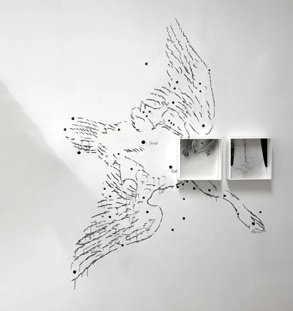 Cenas para o umbigo - Imagem 2