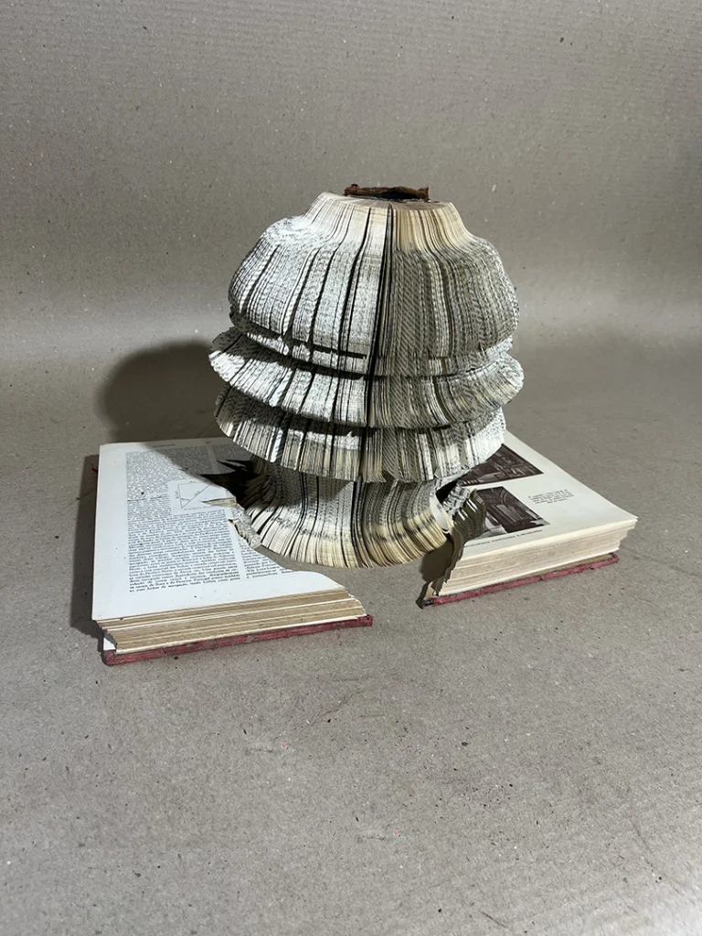 Pássaros Lacunares - Imagem 3