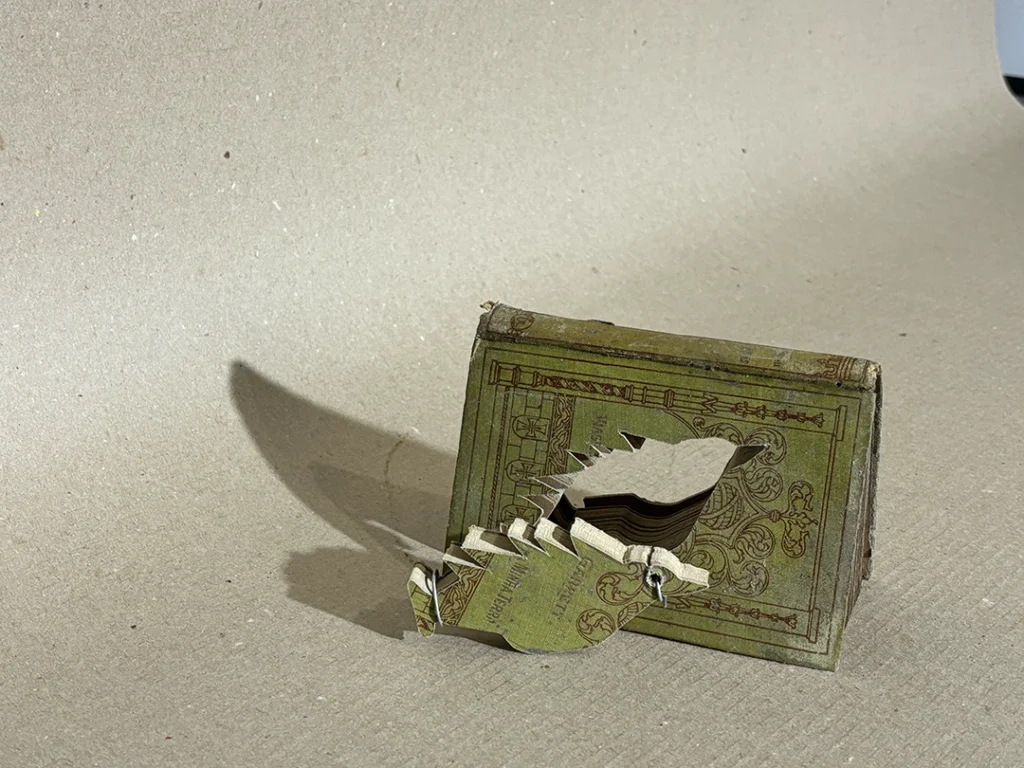 Pássaros Lacunares - Imagem 2