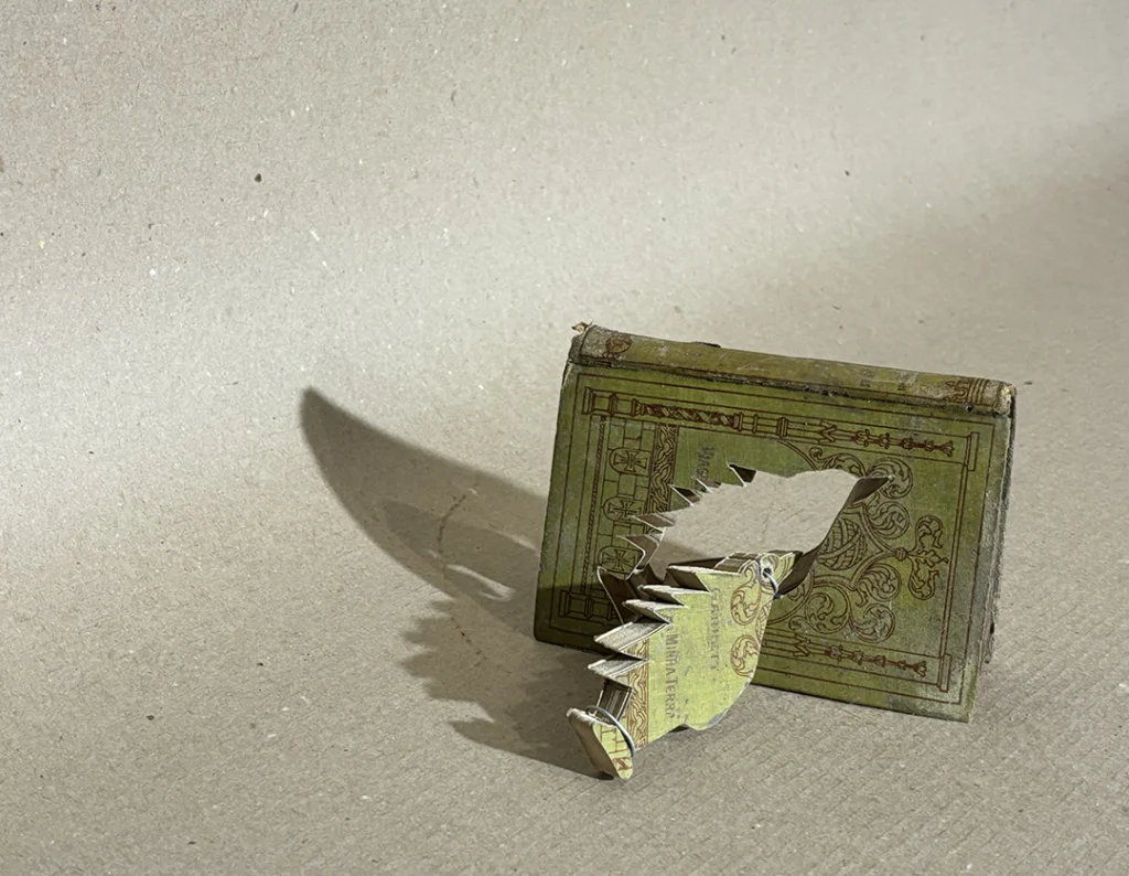 Pássaros Lacunares - Imagem 1