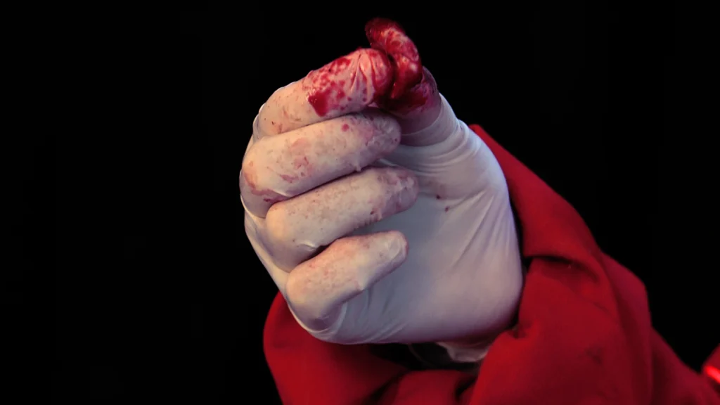 Lagomorpha - Imagem 6