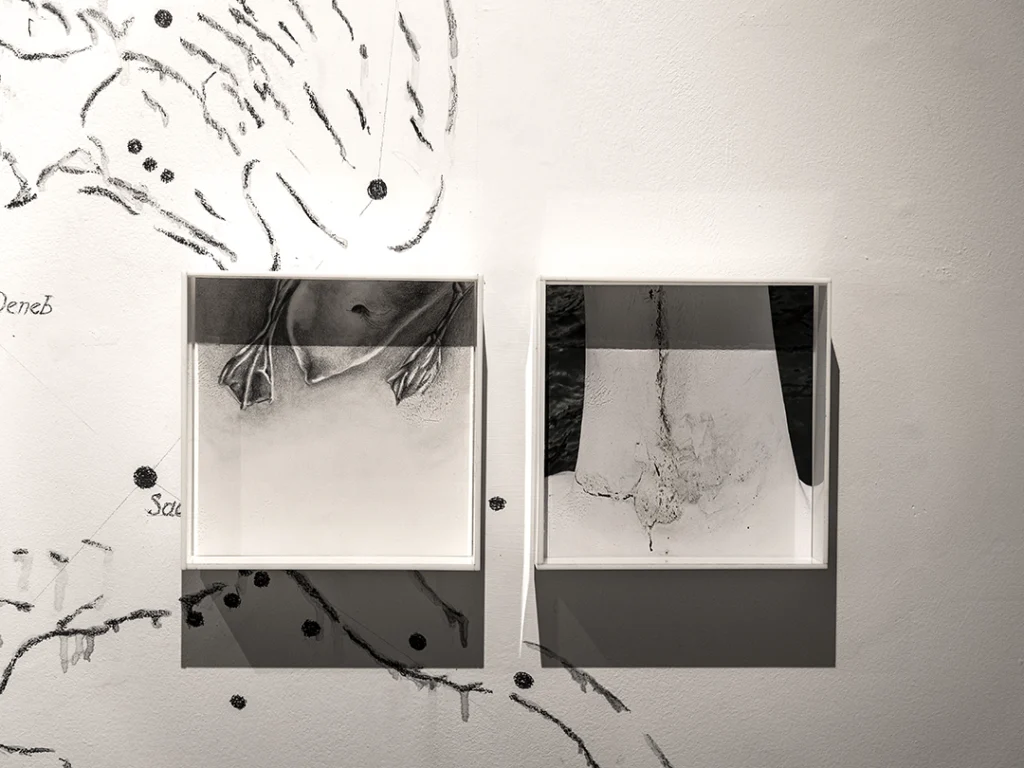 Cenas para o umbigo - Imagem 3