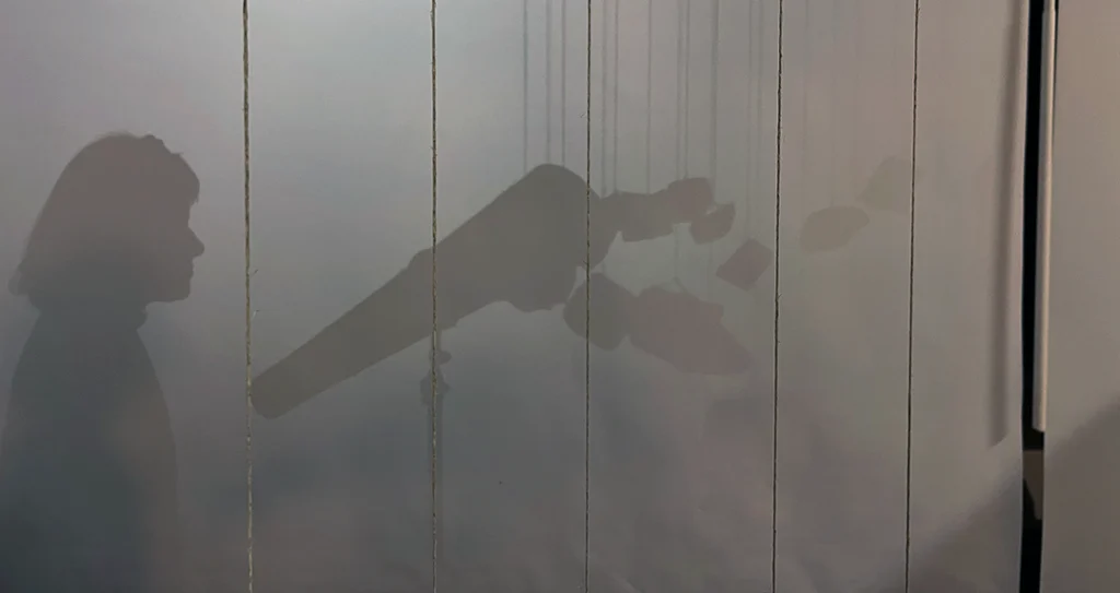 Que(m) sabe de que(m) sou feita