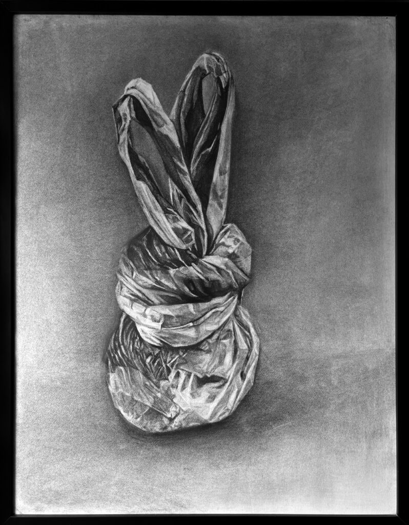 A raposa e a lebre - Imagem 6