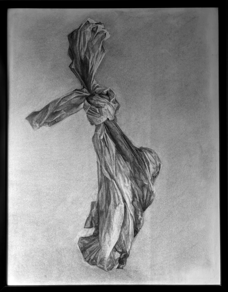 A raposa e a lebre - Imagem 5