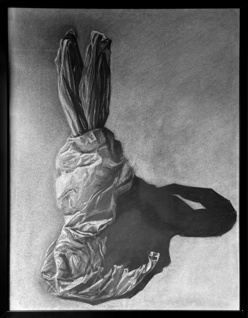 A raposa e a lebre - Imagem 4