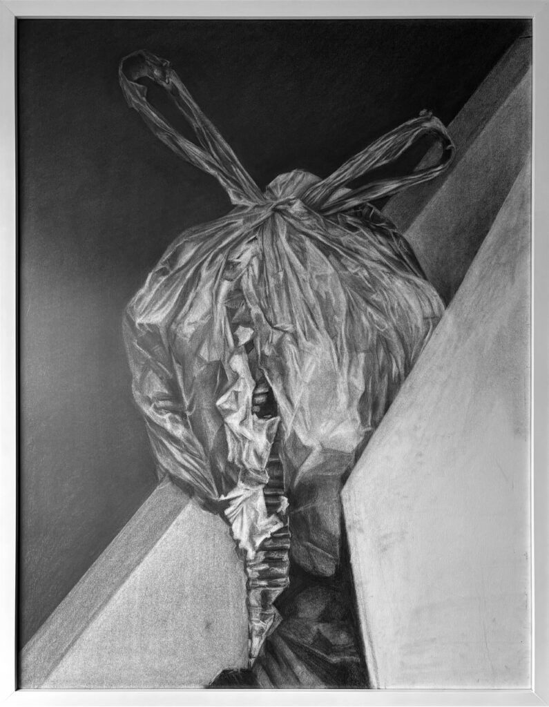 A raposa e a lebre - Imagem 3