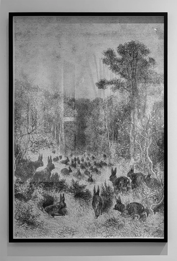 Interpele - Imagem 1