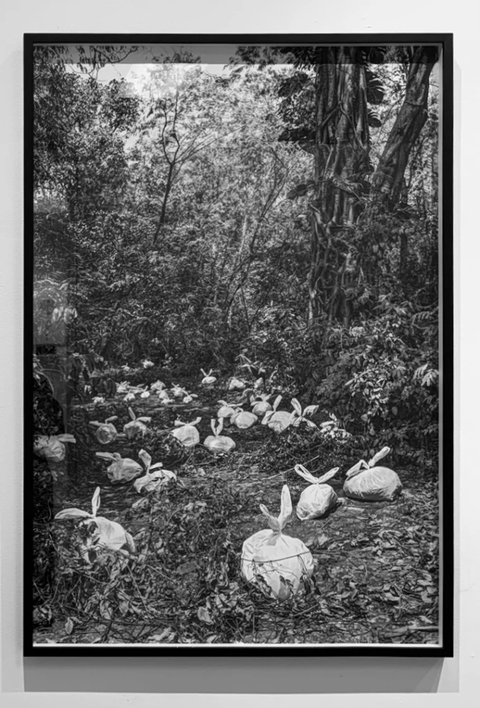 Interpele - Imagem 2