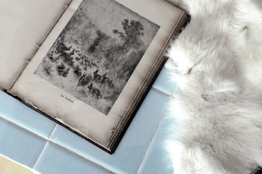 Interpele - Imagem 3